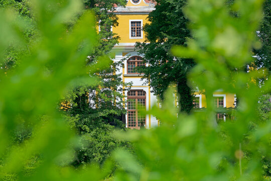 Blick durch Blattgr&uuml;n auf das Barockschloss Neschwitz