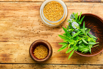 Fenugreek seeds and leaves,flat lay