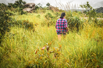 Fototapeta premium A woman walking among the tall grass