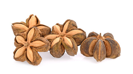 sacha inchi isolated on white background