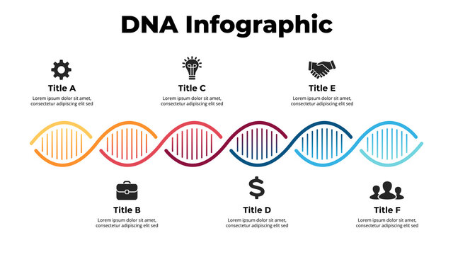 DNA Infographic. Vector illustration slide template. Scientific medical research concept. 6 options chart. Spiral creative sign. Genetic engineering experiment. 