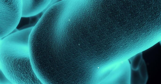 Microscopic view of a organic cell