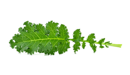 Creative layout made of kale on white background