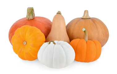 pumpkin isolated on a white background.
