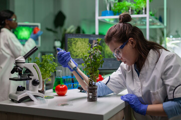 Biochemist scientific taking green liquid with micropieptte puttin on sapling observing genetic...