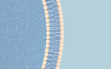 Cell membrane with blue background, 3d rendering.