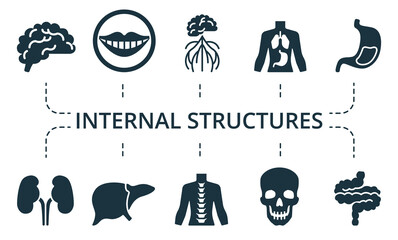 Internal Structures icon set. Contains editable icons theme such as heart, eye, pelvis and more.