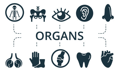 Organs icon set. Contains editable icons theme such as joint, ear, nervous system and more.