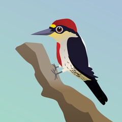 

A vector illustration of a yellow fronted woodpecker on a tree trunk with a green background