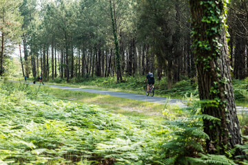 senior cycling on a bike path crossing the forest