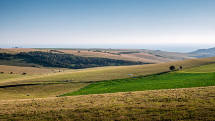 Fototapeta na wymiar The South Downs, Sussex, England. The rolling patchwork countryside of the south coast looking out towards the distant English Channel.