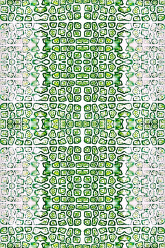 Seamless Snake Skin. Animal Print. Repeated green crocodile leather pattern. Exotic endless print with imperfect marks. Natural croco or reptile pattern imitation
