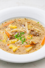 potato soup with mushrooms and carrot