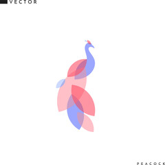 Abstract peacock. Creative bird. Vector illustration EPS10 