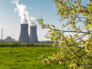 Branch with green leaves  against nuclear power plant.