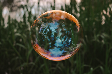 Big soap bubbles in the forest in summer copy space, background 