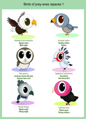 Wild world birds of prey cartoons, cute wild animals in vector with scientific name, and common name in English and Spanish.