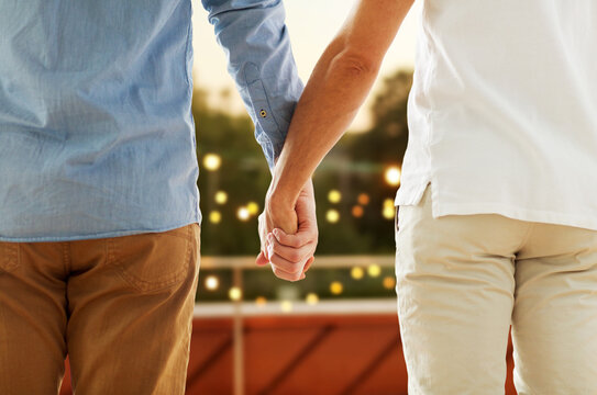 homosexuality, same-sex marriage and lgbt concept - close up of happy male gay couple holding hands from back over roof top party background