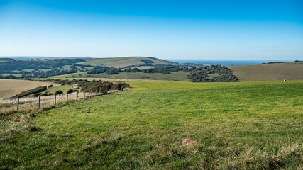 Naklejka premium The South Downs, Sussex, England. The rolling countryside of the south coast on a bright autumn day with the English Channel visible in the distance.