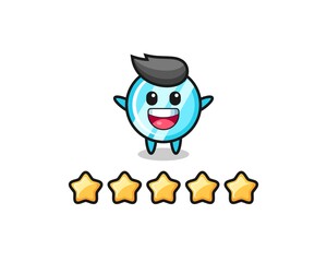 the illustration of customer best rating, mirror cute character with 5 stars