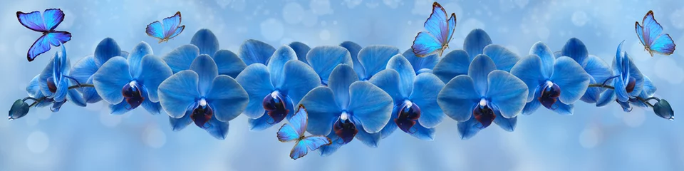 Foto op Canvas blue butterfly and blue orchid © danilag