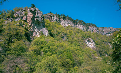 A beautiful view of the Eagle Rocks or White Rocks, overgrown with trees. Limestone rocks...