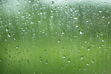 Rain drops on window with green tree in background