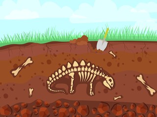 Dinosaur skeleton in cartoon style. The bones of a prehistoric animal underground. Archeology. Vector illustration isolated on white background.