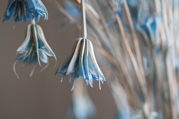 Close-up detail of blue dried flower