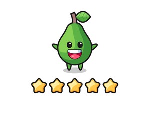 the illustration of customer best rating, avocado cute character with 5 stars