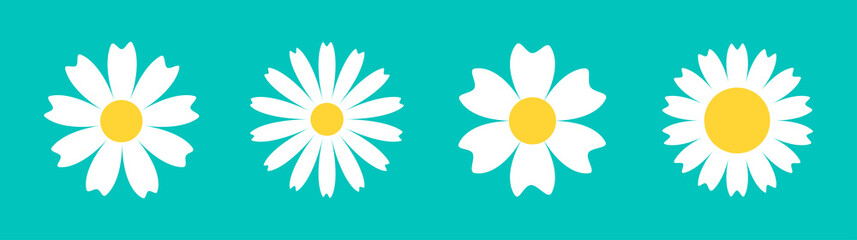 Chamomile daisy round icon line set. White flower. Camomile petal. Cute plant collection. Growing concept. Love card. Happy Valentines Day decoration. Flat design. Green background. Isolated.
