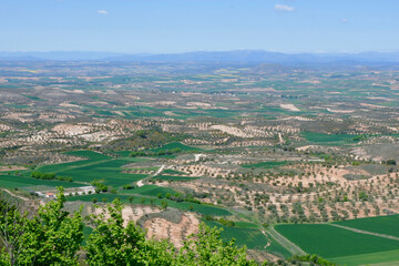 Variety of agricultural fields at spring time in ‎⁨Trijueque⁩, ⁨Guadalajara, Castille-La Mancha⁩, ⁨Spain⁩