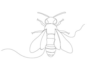 bee drawing by one continuous line isolated, vector