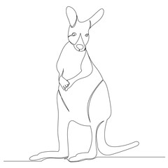 kangaroo drawing by one continuous line isolated, vector
