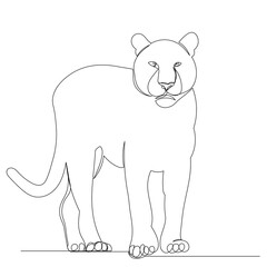 puma, tiger drawing by one continuous line isolated, vector