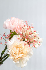 Still life of flowers on white background