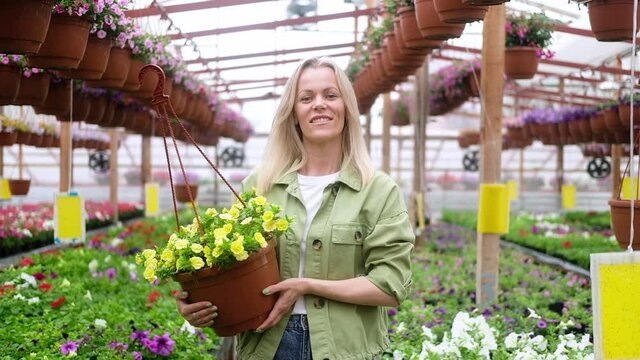 Woman gardener holding potted flowers and walking between rows of flowers in greenhouse. Flower shop. female farmer care of the growing plants in  greenhouse. Florist in garden center, flower business