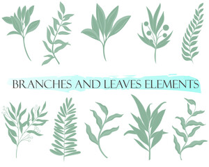 Set of natural botanical elements, vector. Green branches, design elements. Graceful deciduous parts. Hand drawing.