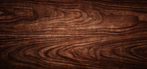 Wood tree texture close up. Wide walnut wood texture background. Walnut veneer is used in luxury finishes.