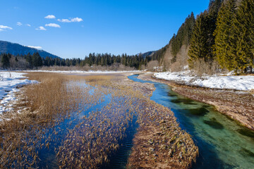 Sava Dolinjka spring in Zelenci near Kranjska Gora in Slovenia