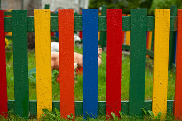 Colored wooden fence made of boards. The fence is painted in different colors.