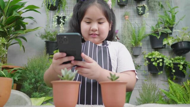 Asian girl taking a photo a small plant in flowerpot by smartphone in the garden at home. Helping mom taking care of plant, Gardening concept