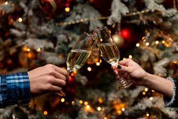 A pair is clinking glasses of champagne on christmas eve, lights and fur tree on background