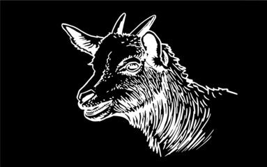 Vector portrait of  goat isolated on black background,farm animal