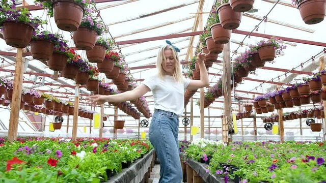 Cheerful Woman Gardener florist walks through greenhouse with blooming flowers and dances merrily in good mood. woman farmer with pleasure grows flowers in a greenhouse is engaged in favorite hobby