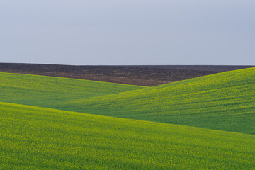 Cropland located on hills, Podilia region, South-Western Ukraine