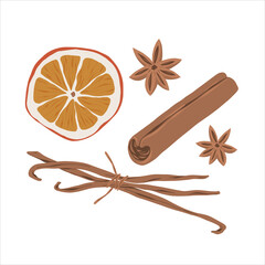 Cinnamon, anise star, vanilla and dried orange slice spice set, hand drawn illustrations of seasoning, mulled wine ingredients, realistic detailed vector drawing isolated