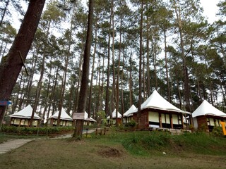 house in the forest