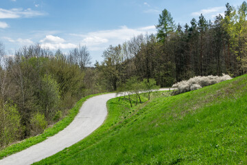 Szlak prowadzący do Ojcowskiego Parku Narodowego