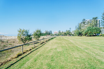Fototapeta na wymiar Grass park on the Gold Coast, Queensland